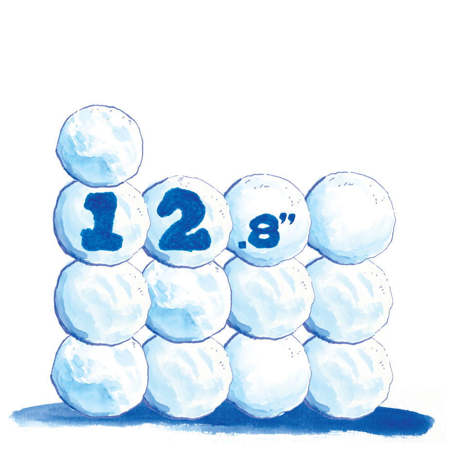 No. 5